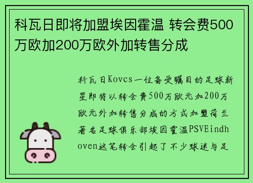 科瓦日即将加盟埃因霍温 转会费500万欧加200万欧外加转售分成 科瓦日即将加盟埃因霍温 转会费500万欧加200万欧外加转售分成