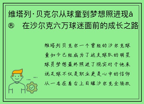 维塔列·贝克尔从球童到梦想照进现实在沙尔克六万球迷面前的成长之路 维塔列·贝克尔从球童到梦想照进现实在沙尔克六万球迷面前的成长之路